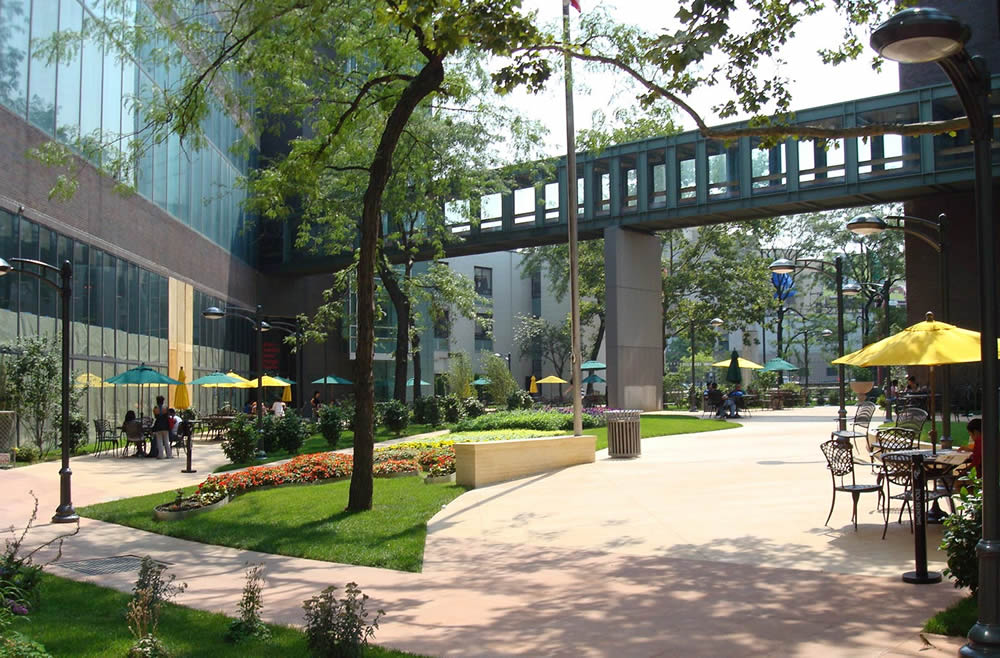 Long Island University Brooklyn Long Island University Brooklyn